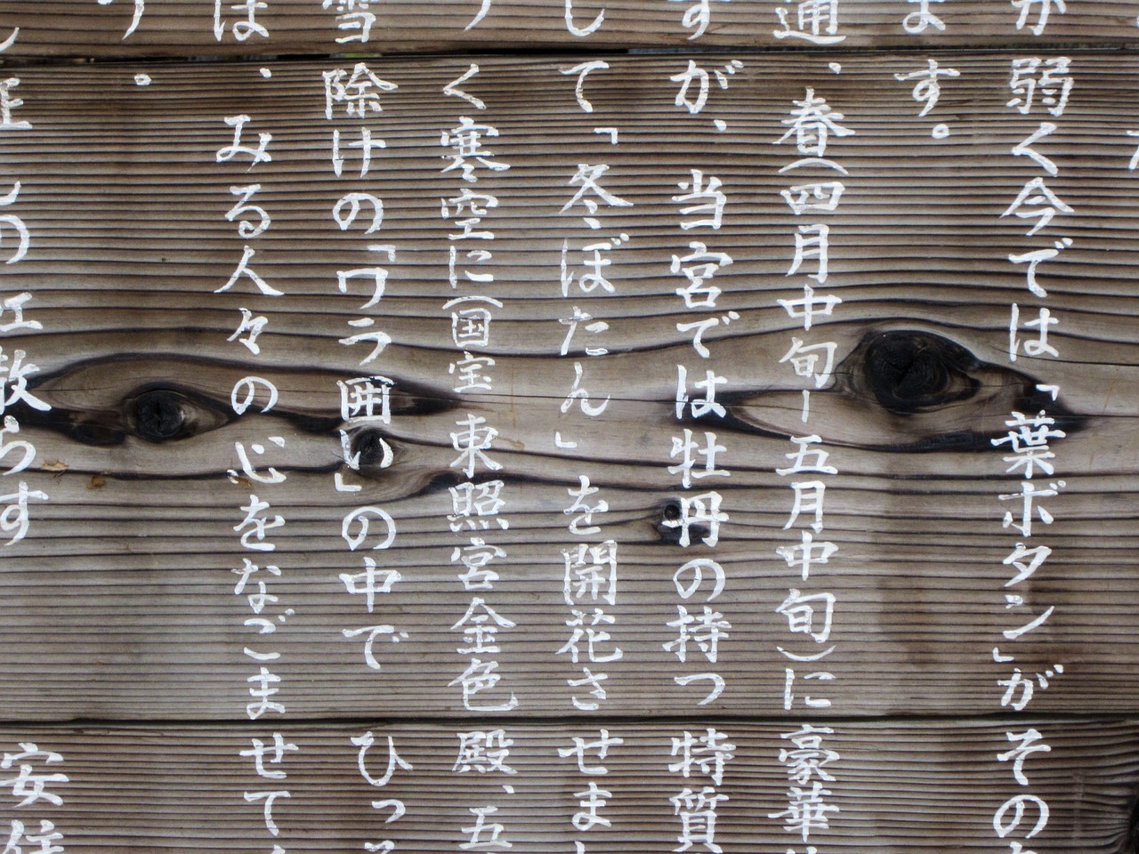 Read more about the article História da Língua Japonesa: Uma Jornada pelas Principais Fases da Evolução do Japonês ao Longo do Tempo